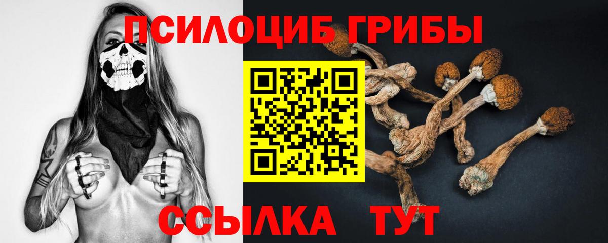 Лангепас  Псилоцибиновые грибы мухоморы  Вход с VPN 